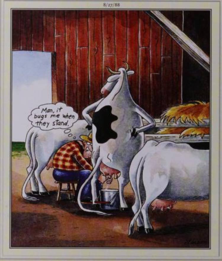 Far Side, August 27, 1988, a farmer doesn't like when cows stand on hind legs