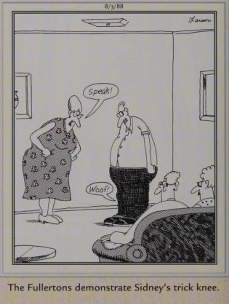 Far Side, August 3, 1988, featuring 'Sidney's trick knee'